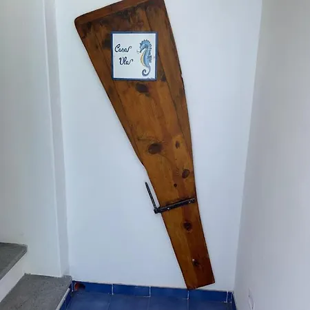 Il Vulcano A Piedi