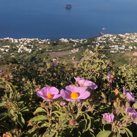 Penzion Il Vulcano A Piedi 3*